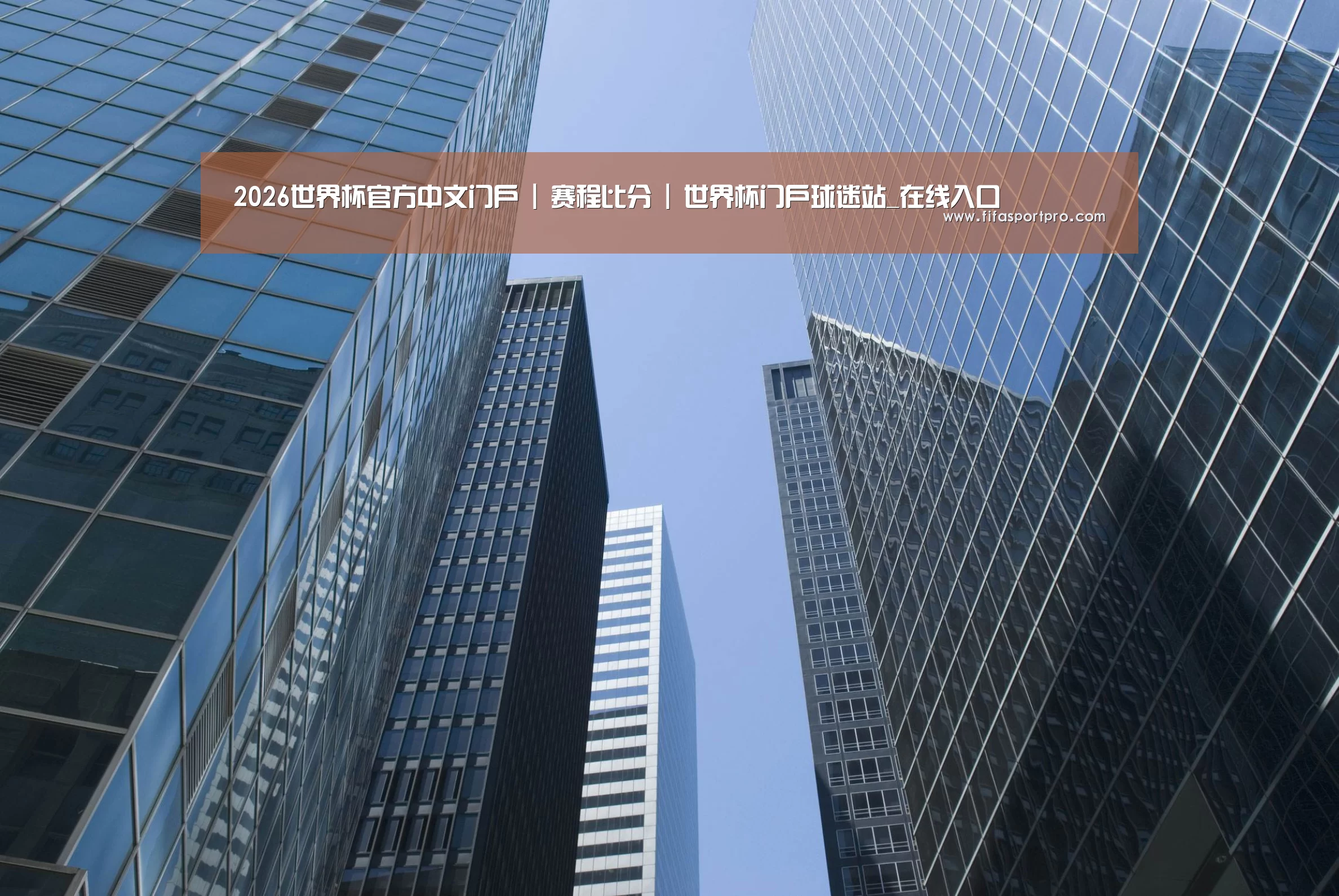 2026世界杯公司简介 