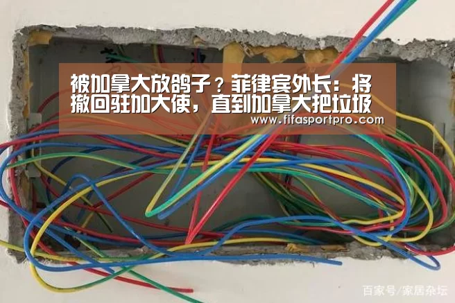 被加拿大放鸽子？菲律宾外长：将撤回驻加大使，直到加拿大把垃圾拉“FIFA世界杯”