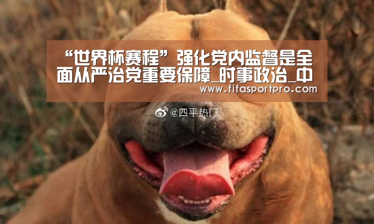“世界杯赛程”强化党内监督是全面从严治党重要保障_时事政治_中公教育网