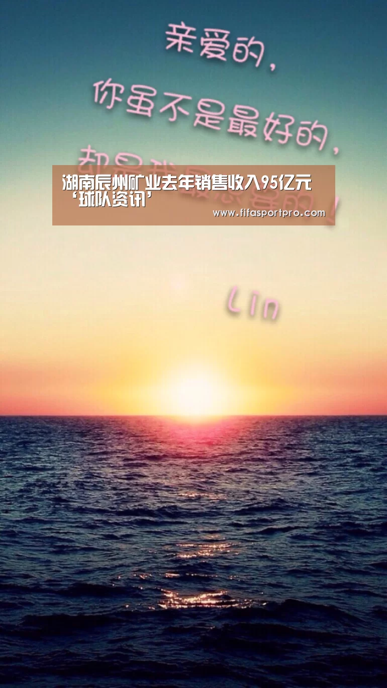 湖南辰州矿业去年销售收入95亿元‘球队资讯’(图2) 2026世界杯