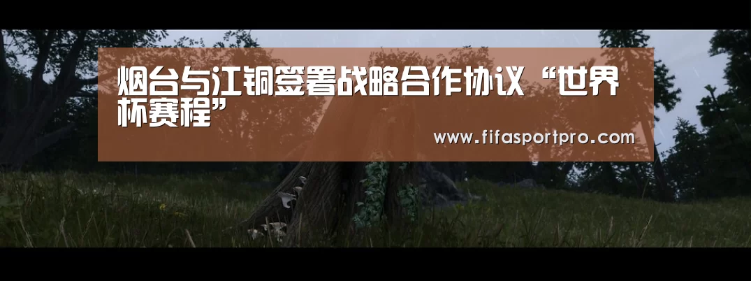 烟台与江铜签署战略合作协议“世界杯赛程”